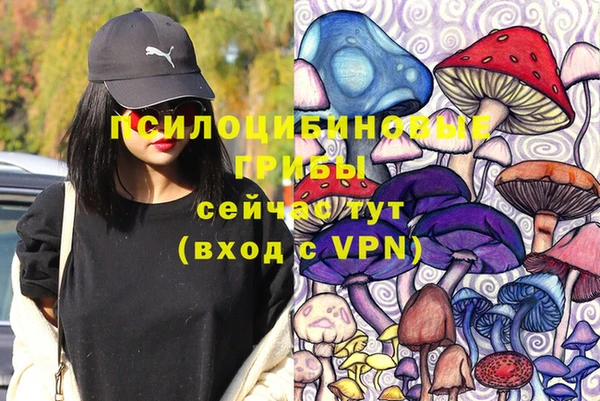 дживик Белоозёрский