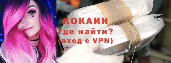 прущие грибы Богородск