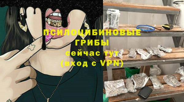 спиды Богданович