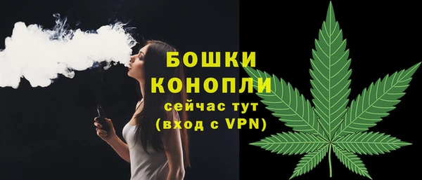 спиды Богданович