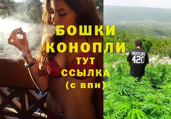 прущие грибы Богородск