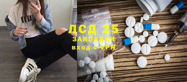 прущие грибы Богородск