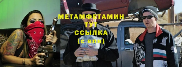 прущие грибы Богородск