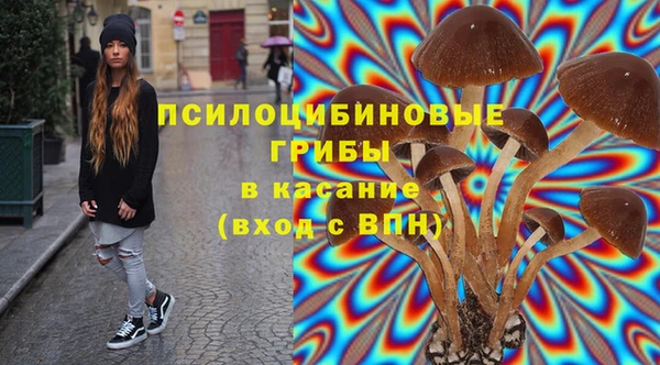 спиды Богданович