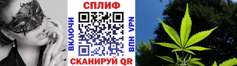 Бошки марихуана SATIVA & INDICA  Саяногорск 